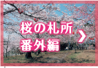 桜の札所番外編